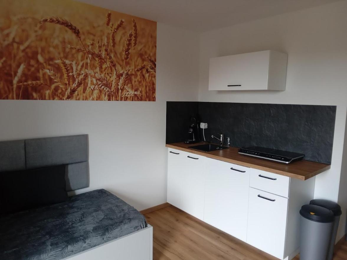 Ferienbauernhof Neumuehle Apartment Gappenach Bagian luar foto
