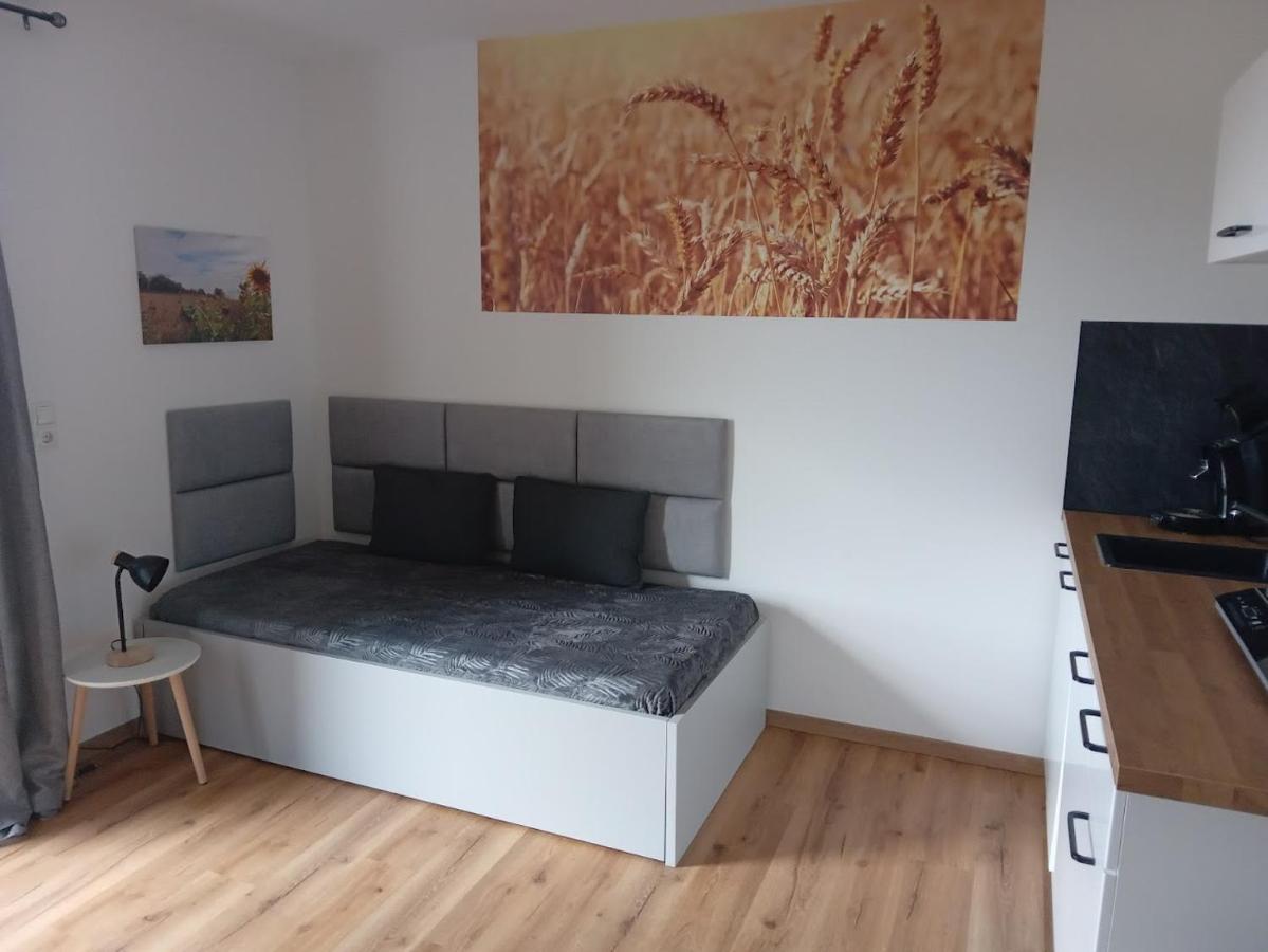 Ferienbauernhof Neumuehle Apartment Gappenach Bagian luar foto